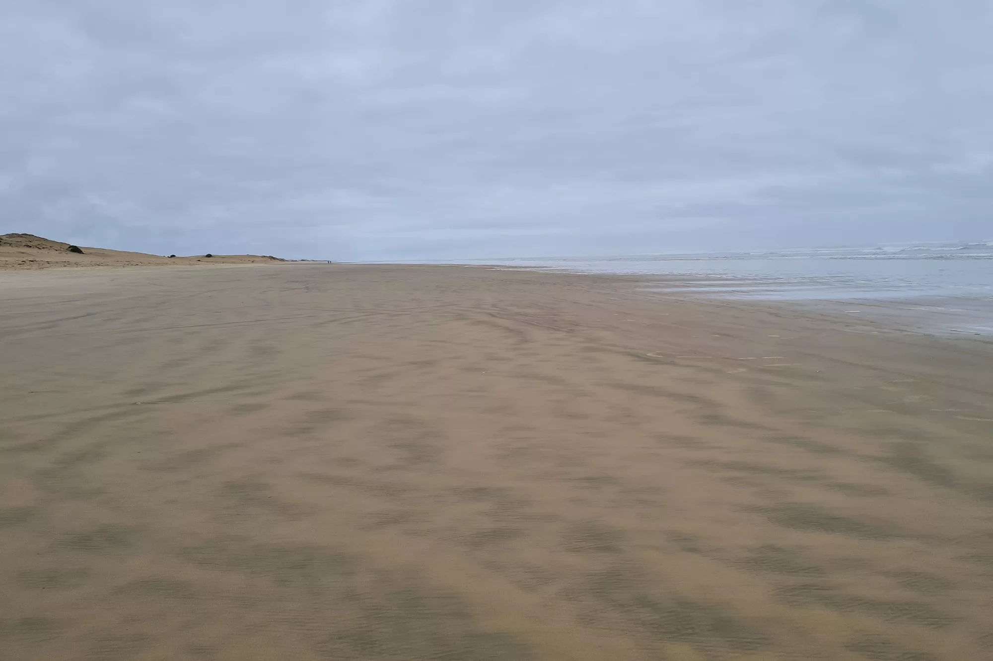 Walking the 90 Mile Beach section of the Te Araroa Trail