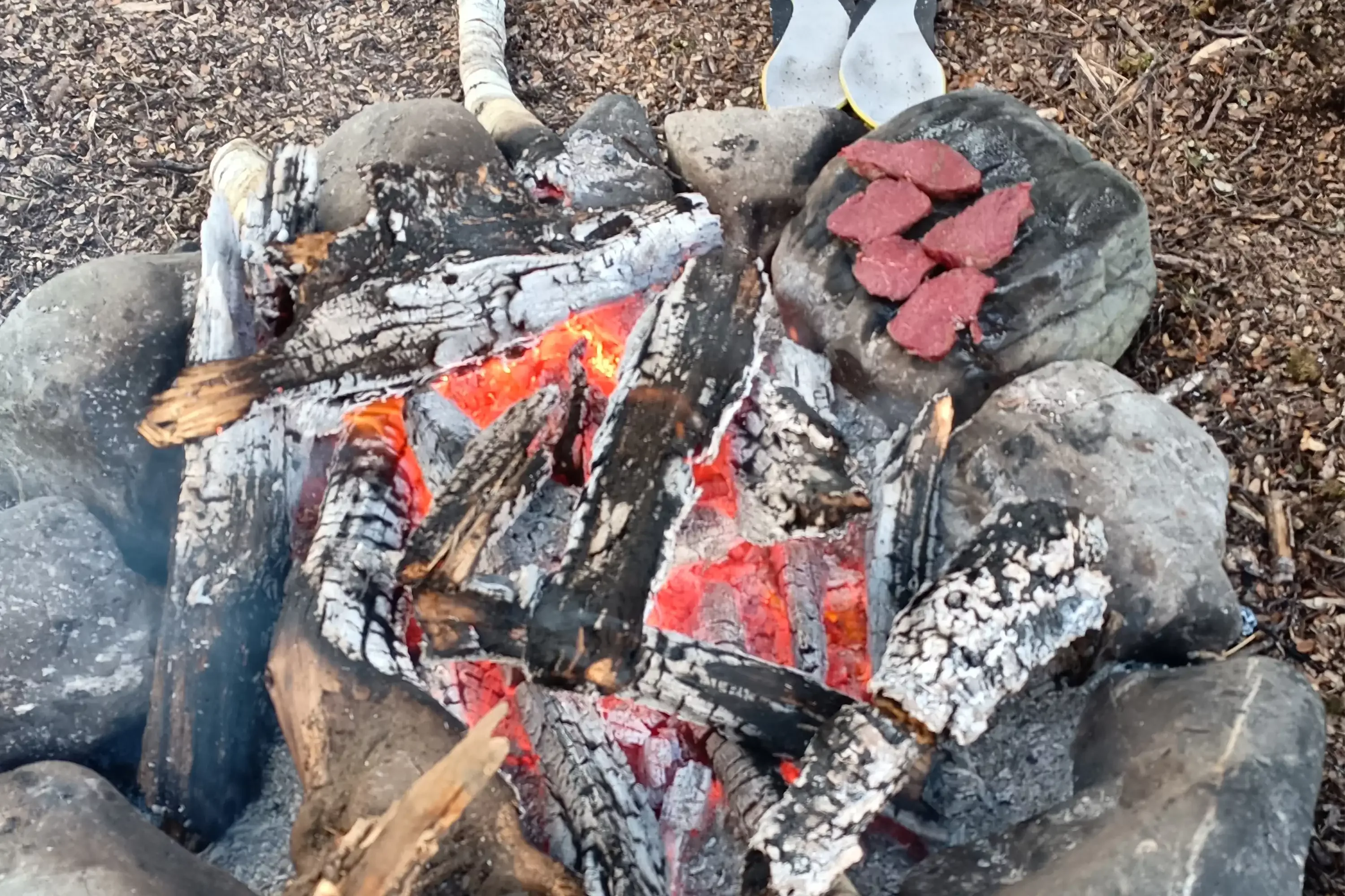 Stone Cooked Venison