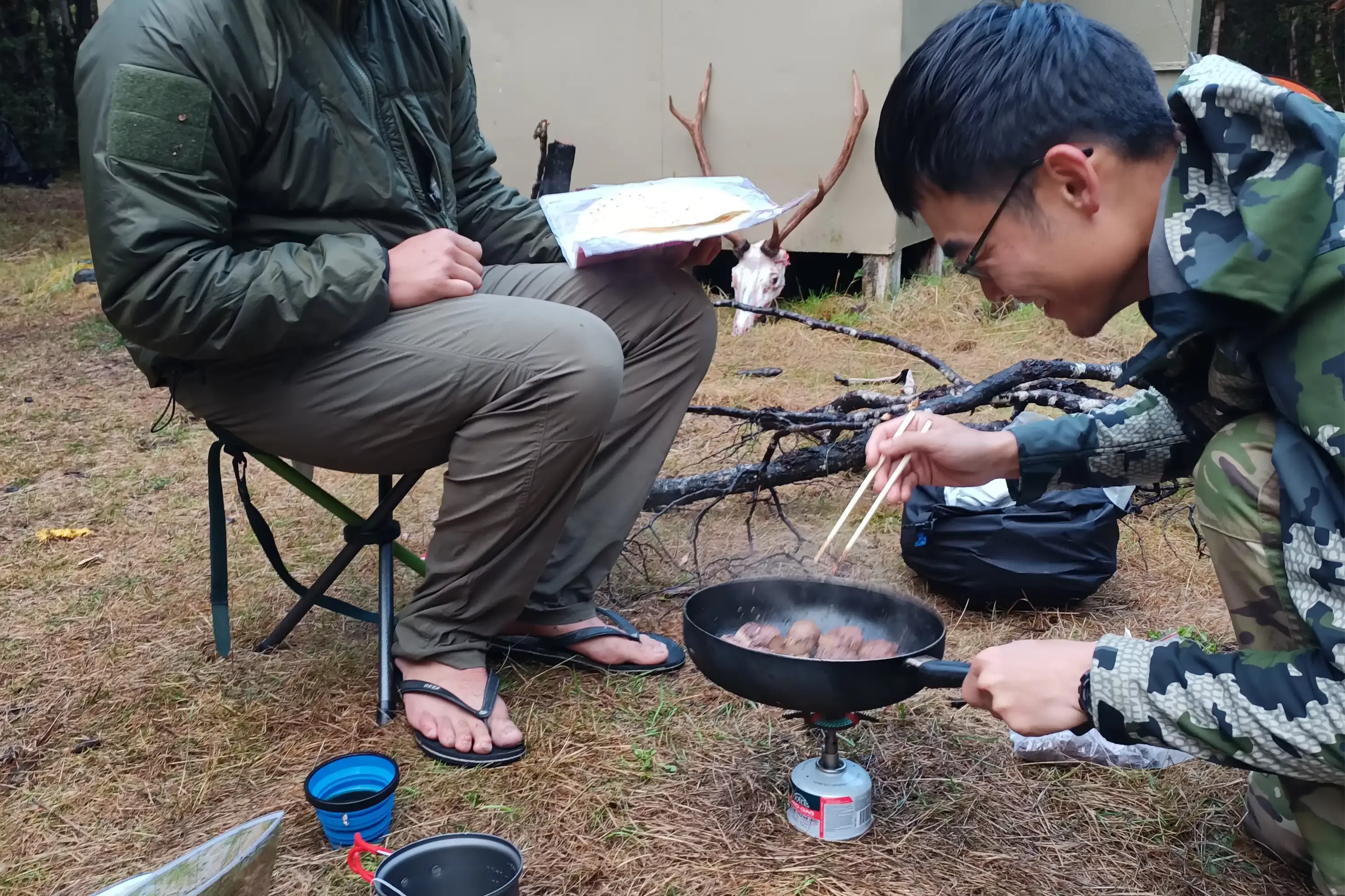 Venison Stirfry