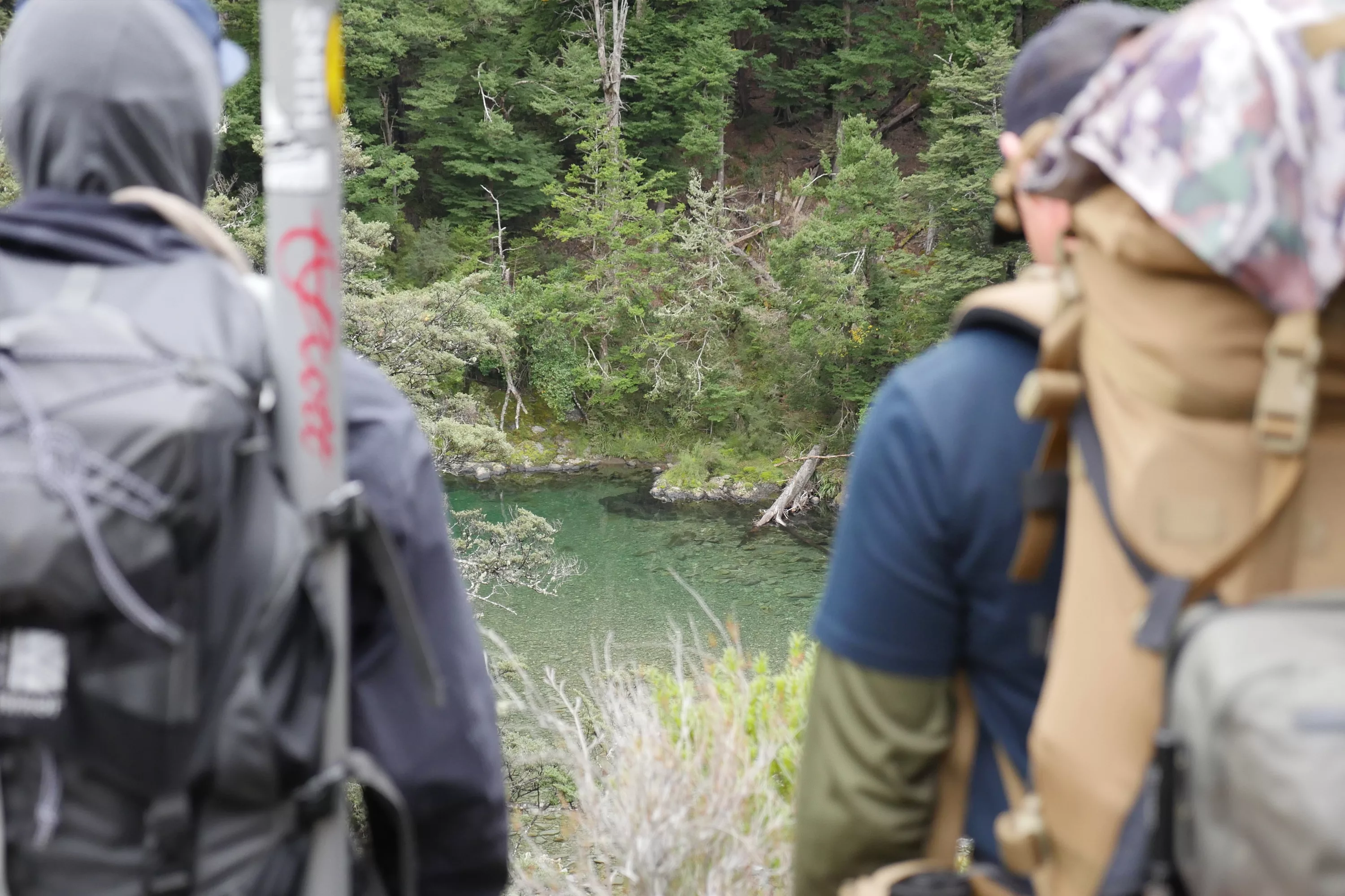 An Intro To Backcountry Fly Fishing In NZ