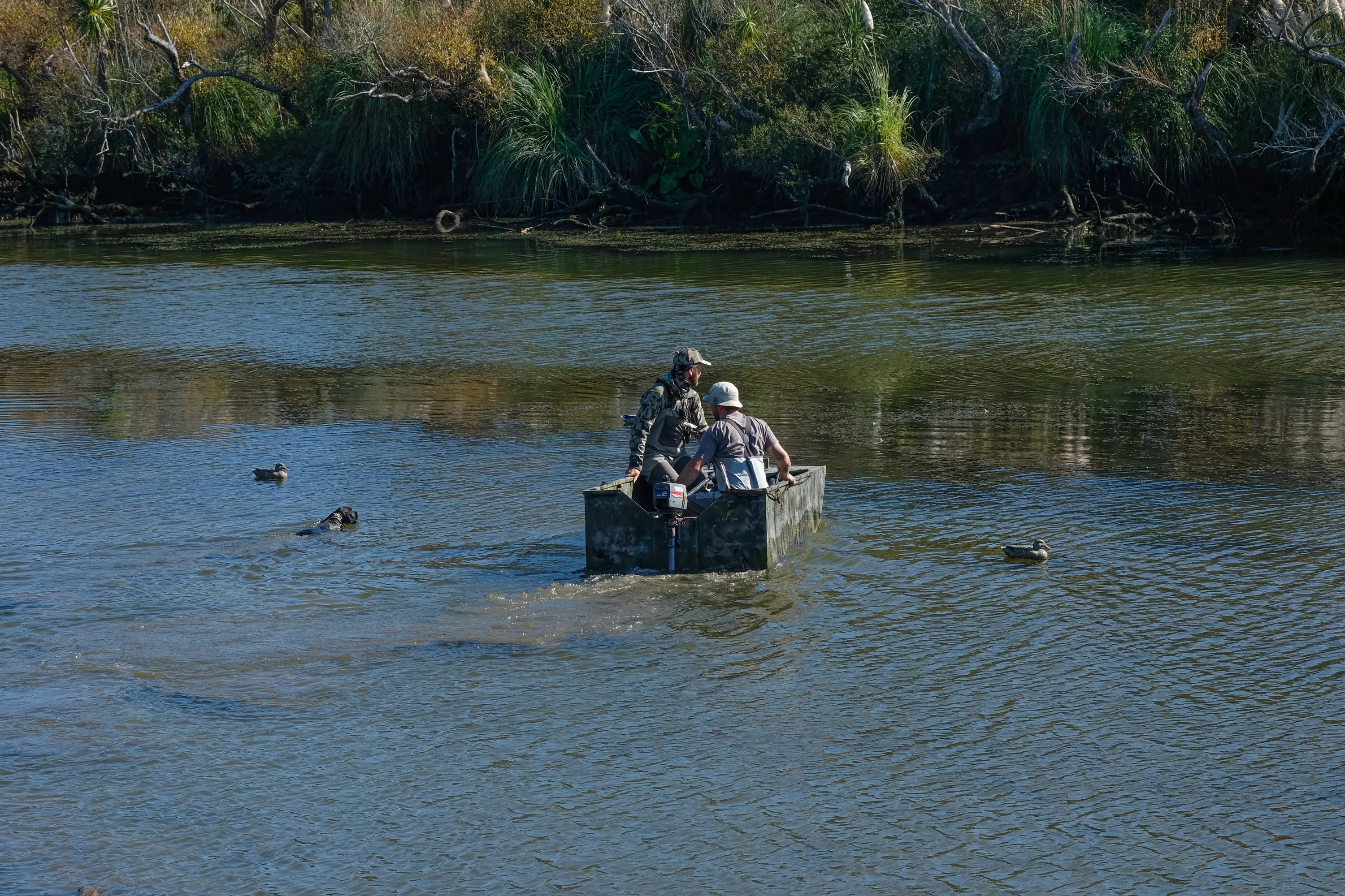 A punt for duck hunting season in new zealand