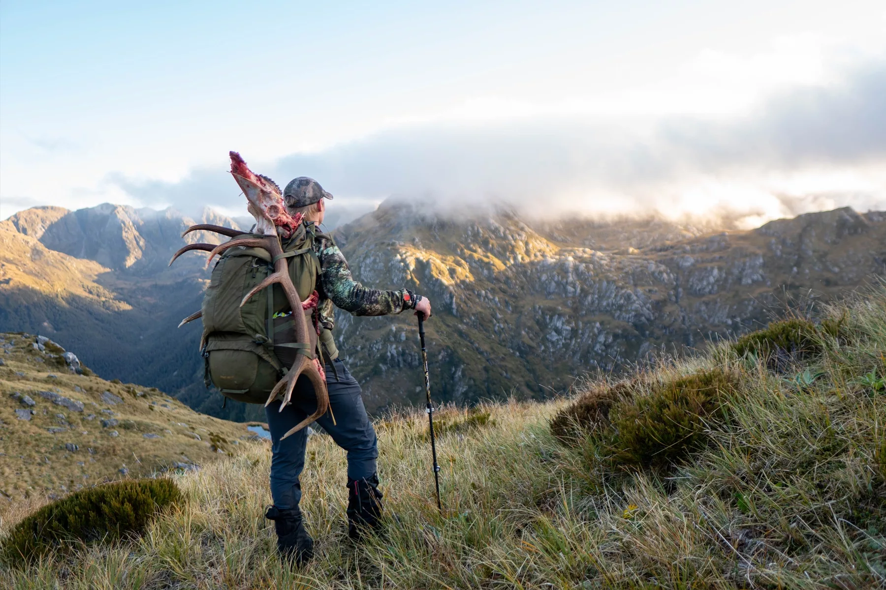 Hard Work Wapiti Deer Hunting In Fiordland National Park