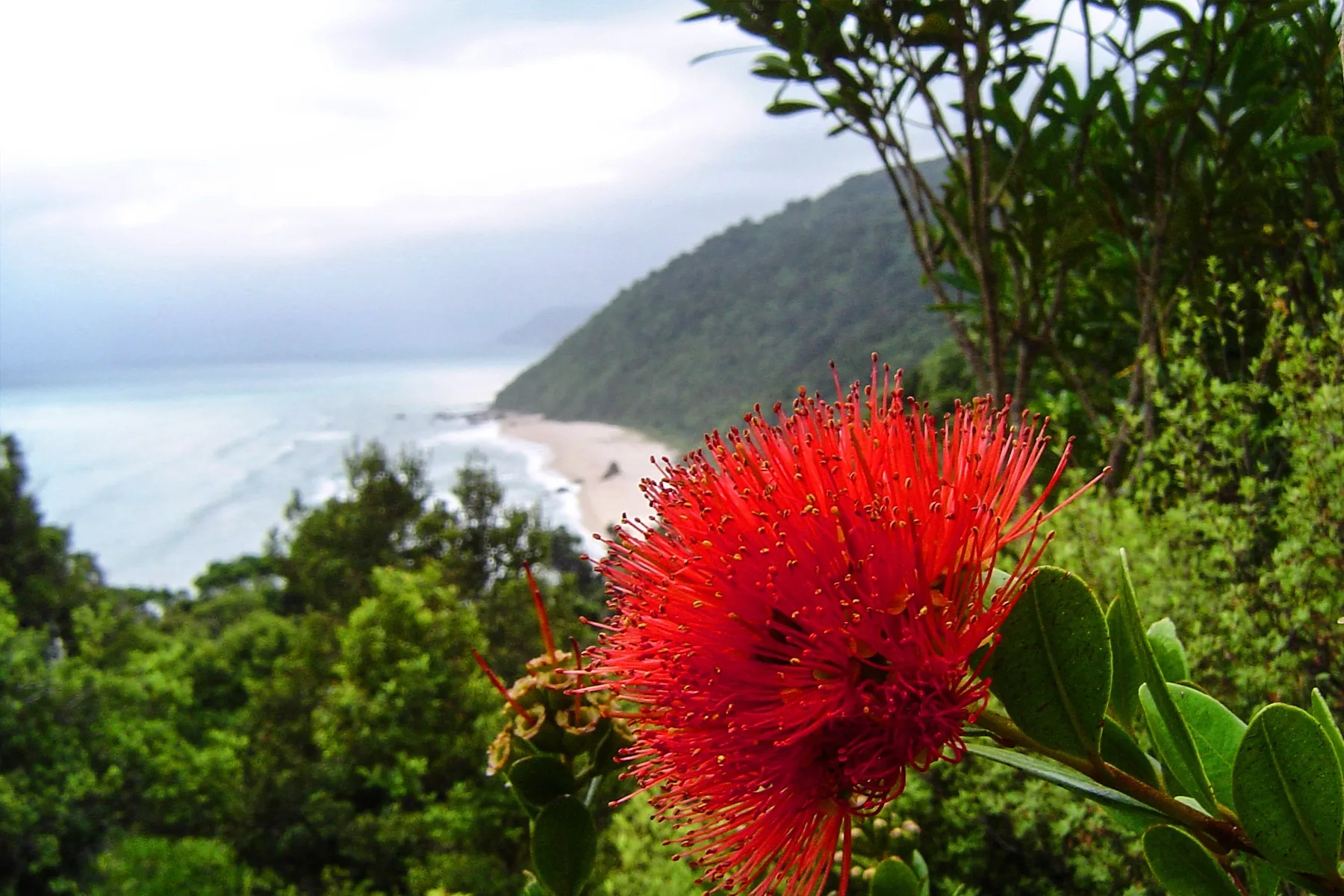 Heaphy Track | Great Rides NZ