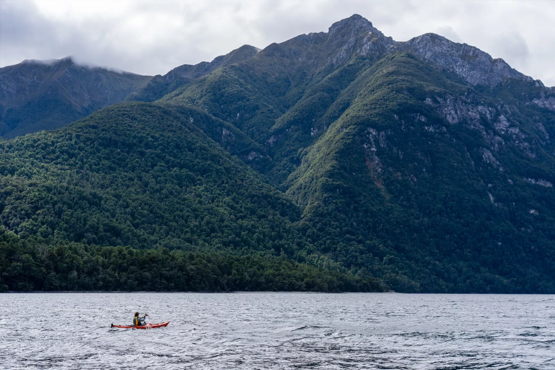 Kayaking the north fiord