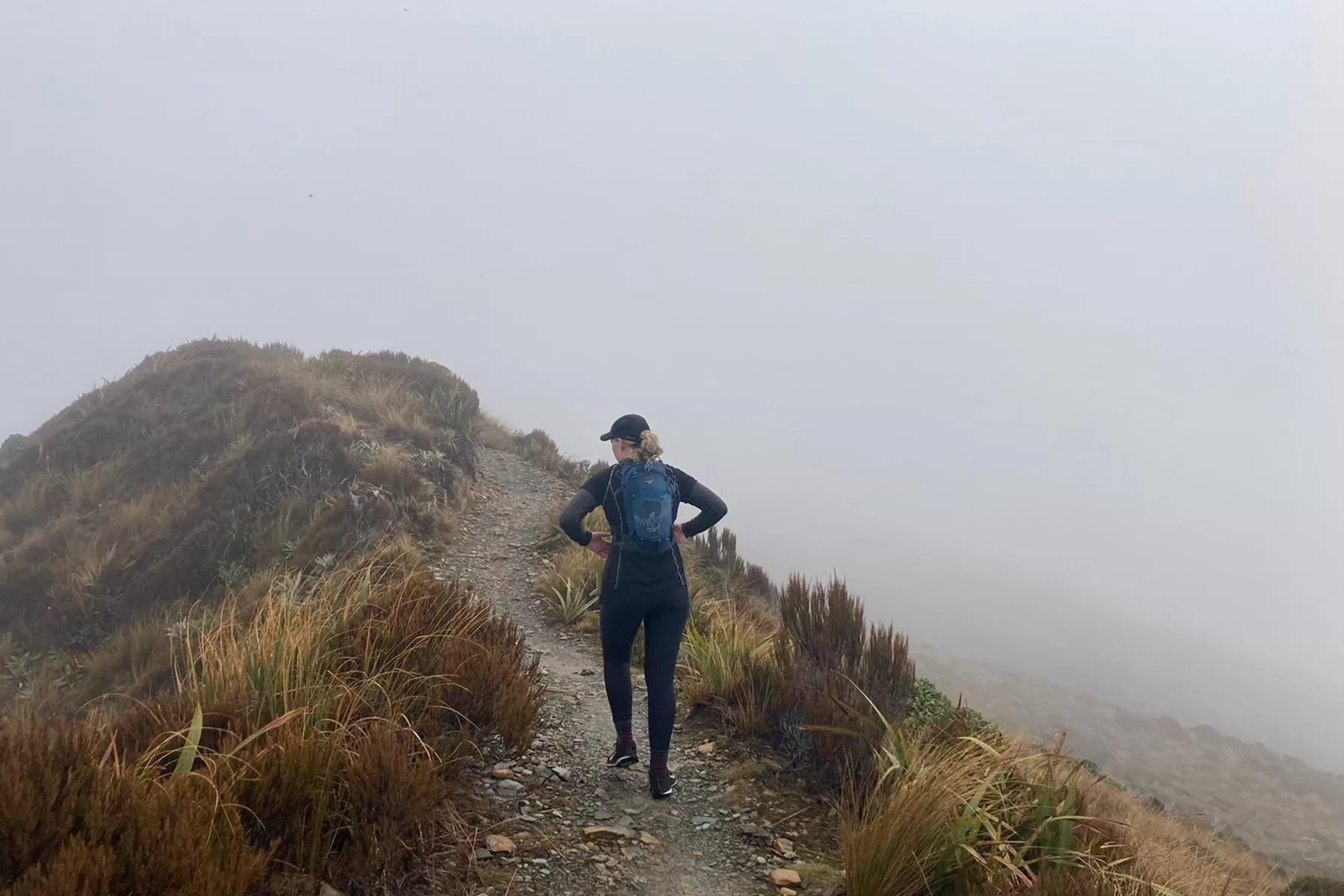 Paparoa Track Day Trip