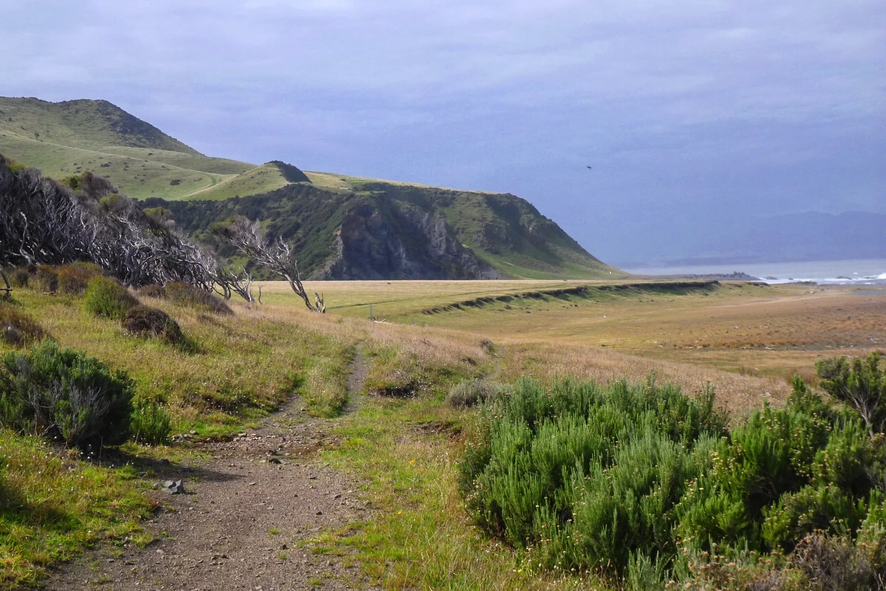 Remutaka Cycle Trail | Great Rides NZ