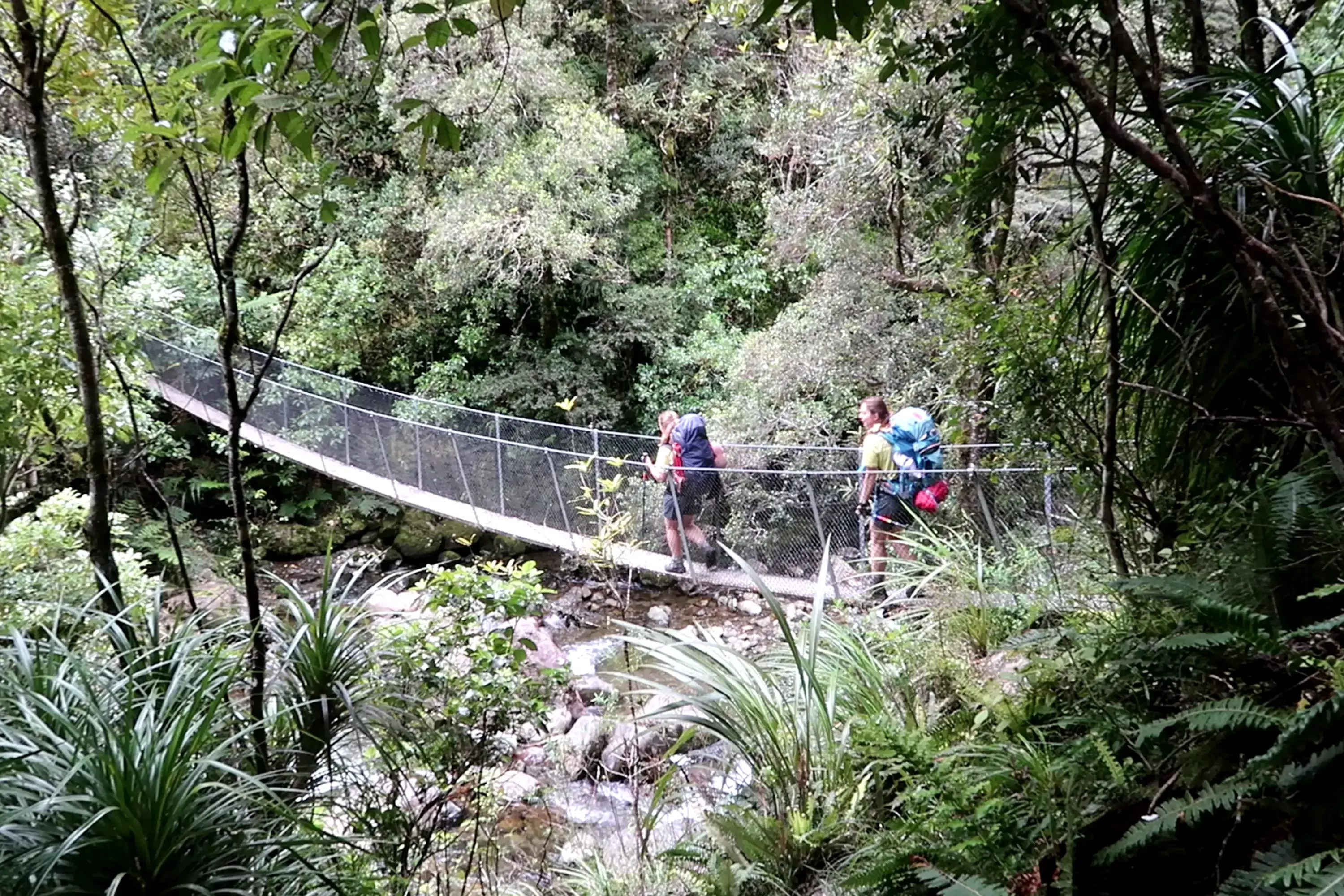Tararuas swing bridge